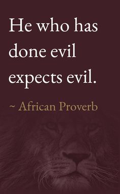 a lion with the quote he who has done evil exacts evil african prover