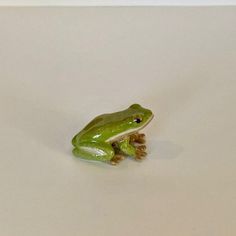 a green frog sitting on top of a white surface