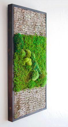 a moss covered wall hanging on the side of a white wall