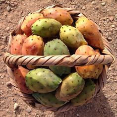 a basket filled with fruit sitting on top of a dirt ground