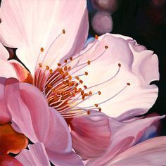 a painting of pink and white flowers with yellow stamens on the center flower