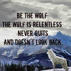 a lone wolf standing on top of a snow covered field with mountains in the background