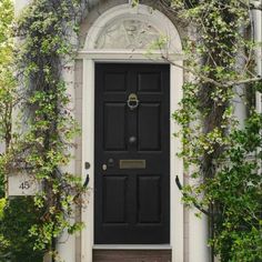 a black front door surrounded by greenery