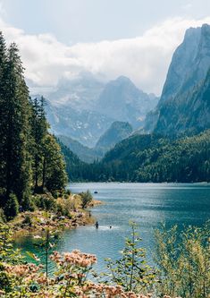 a body of water surrounded by trees and mountains