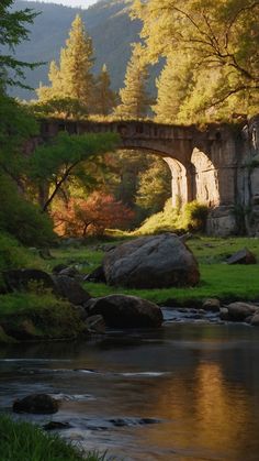 an old stone bridge over a stream in the woods with rocks and grass around it