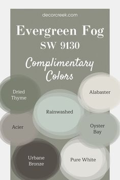 The image showcases a calming color palette centered around Evergreen Fog SW 9130, a soft, peaceful green. Pairings include the clean and bright tones of Pure White and Alabaster, adding lightness, while Urbane Bronze provides a rich, bold contrast. The palette also features cool, modern shades like Acier, along with earthy greens such as Dried Thyme and Oyster Bay, complemented by the gentle blue tone of Rainwashed. Oyster Bay Sherwin Williams, Pure White Sherwin Williams, Evergreen Fog, Warm Neutral Paint Colors, Urbane Bronze, Painting Trim White, Blue Green Paints, Trim Colors