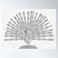 High-quality posters to hang in dorms, bedrooms or offices. Multiple sizes are available. Printed on 185gsm semi gloss poster paper. Additional sizes are available. A beautiful black and white peacock Peacock Drawing, White Peacock, Pet Birds, Quality Posters, Science Poster, Stranger Things Fanart, Poster Design, Pencil, Fan Art