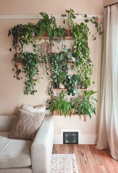 a living room with plants on the wall and a couch in front of a window