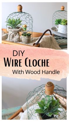 diy wire clochel with wood handle and succulents in it