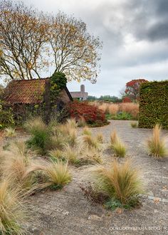 an old building surrounded by tall grass and trees on a cloudy day in the countryside