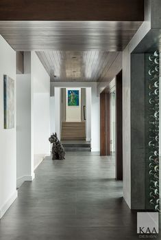 the hallway is clean and ready for guests to use it as a wine cellar in this modern home