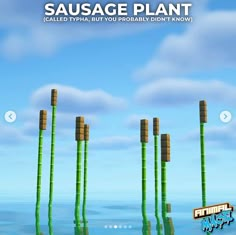 an image of some poles in the water with words above them that say sausage plant