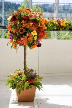 two potted plants with flowers on them in front of a large window sill