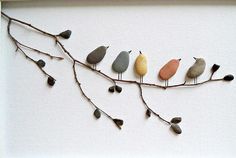 a group of birds sitting on top of a tree branch next to rocks and leaves