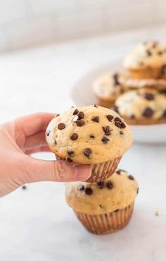 a hand holding a chocolate chip muffin in front of another muffin on a plate