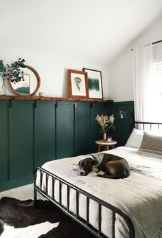 a dog laying on top of a bed in a room with green walls and white sheets