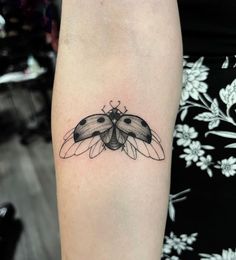 a small black and white moth tattoo on the arm