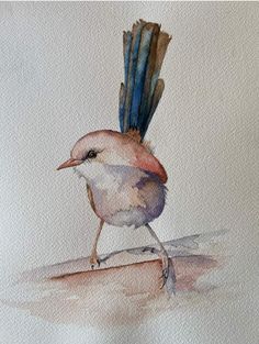 a watercolor painting of a bird with feathers on it's head and tail