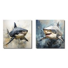 two paintings of sharks with their mouths open