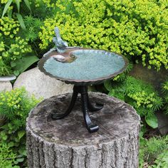 a bird bath sitting on top of a tree stump