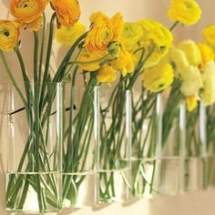 several clear vases with yellow flowers in them