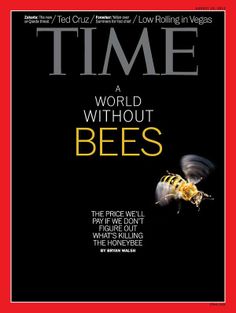 the front cover of time magazine with a bee on it's back and words about bees