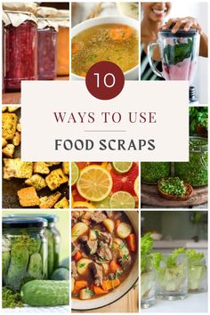 the top ten ways to use food scraps