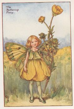 Flower Fairies: THE BUTTERCUP FAIRY Vintage Print c1930 by | Etsy Flower Fairies Books, Buttercup Flower, Fairy Vintage, Summer Fairy, Psy Art, Vintage Fairies, Fairy Book