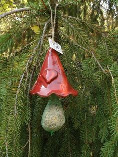 a bird feeder hanging from a tree branch