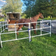 a brown horse standing inside of a white fence