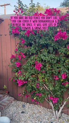 a tree with pink flowers growing in front of a wooden fence that says if you have an old fence you don't like you can cover it with bougani