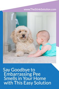 a baby and a dog sitting on the floor with text saying say goodbye to embarrasing pee smells in your home with its easy solution