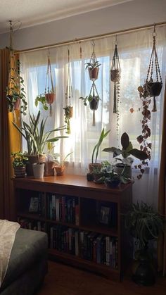 a living room filled with lots of plants next to a window covered in sheer curtains