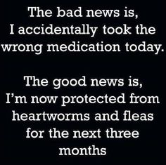 the bad news is, i accidentally took the wrong medication today - the good news is, i'm now protected from heartworms and fleas for the next three months