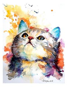 a watercolor painting of a cat's face