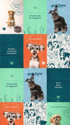 a series of photos showing different types of dogs in various colors and sizes, with the words goshew written on them