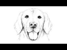 a black and white drawing of a dog's face