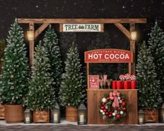 christmas trees are lined up in front of a hot cocoa stand