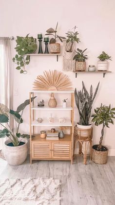 a room filled with plants and potted plants