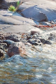 a painting of rocks in the water with plants growing out of them