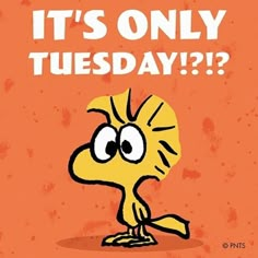 an orange poster with the words it's only tuesday good morning and a cartoon character