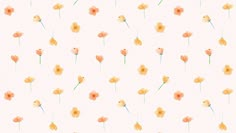 an orange flower pattern on a white background