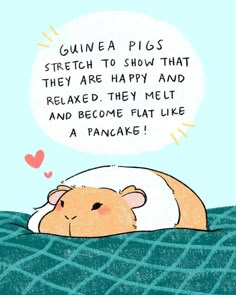 a drawing of a hamster laying on the ground with a thought bubble above it