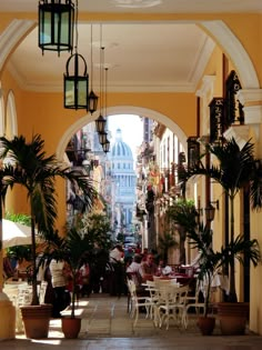 an archway leading to a restaurant with tables and chairs on the side walk, surrounded by potted plants