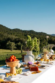 a long table is set up with cheese, fruit and crackers for an outdoor party