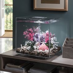 a fish tank with corals and other marine life in it sitting on a table