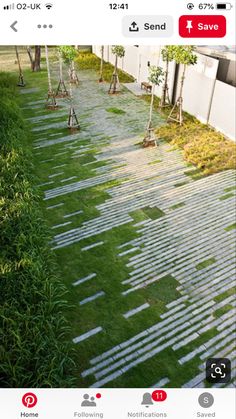 the walkway is lined with white stepping stones and trees are planted on either side of the path