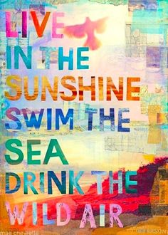 the words live in the sunshine swim the sea drink the wild air on a colorful background