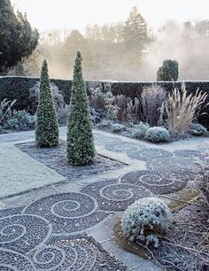 the garden is covered in snow and frost