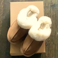 ** Updated Photos, I Have Worn Them But Only Inside So They Are Still In Great Shape. Small Water Stain (I’m Sure You Could Get Out, I Haven’t Tried). Still Have The Box! Reposhing This Item I Purchased From @Grudnick. Loved It, But Ready To Rotate For Something New. Questions? Leave A Comment Below! Ugg Platform, Holiday Wishlist, Shoes Ugg, Clog Slippers, Platform Clogs, Womens Uggs, Ugg Shoes, Something New, Clogs